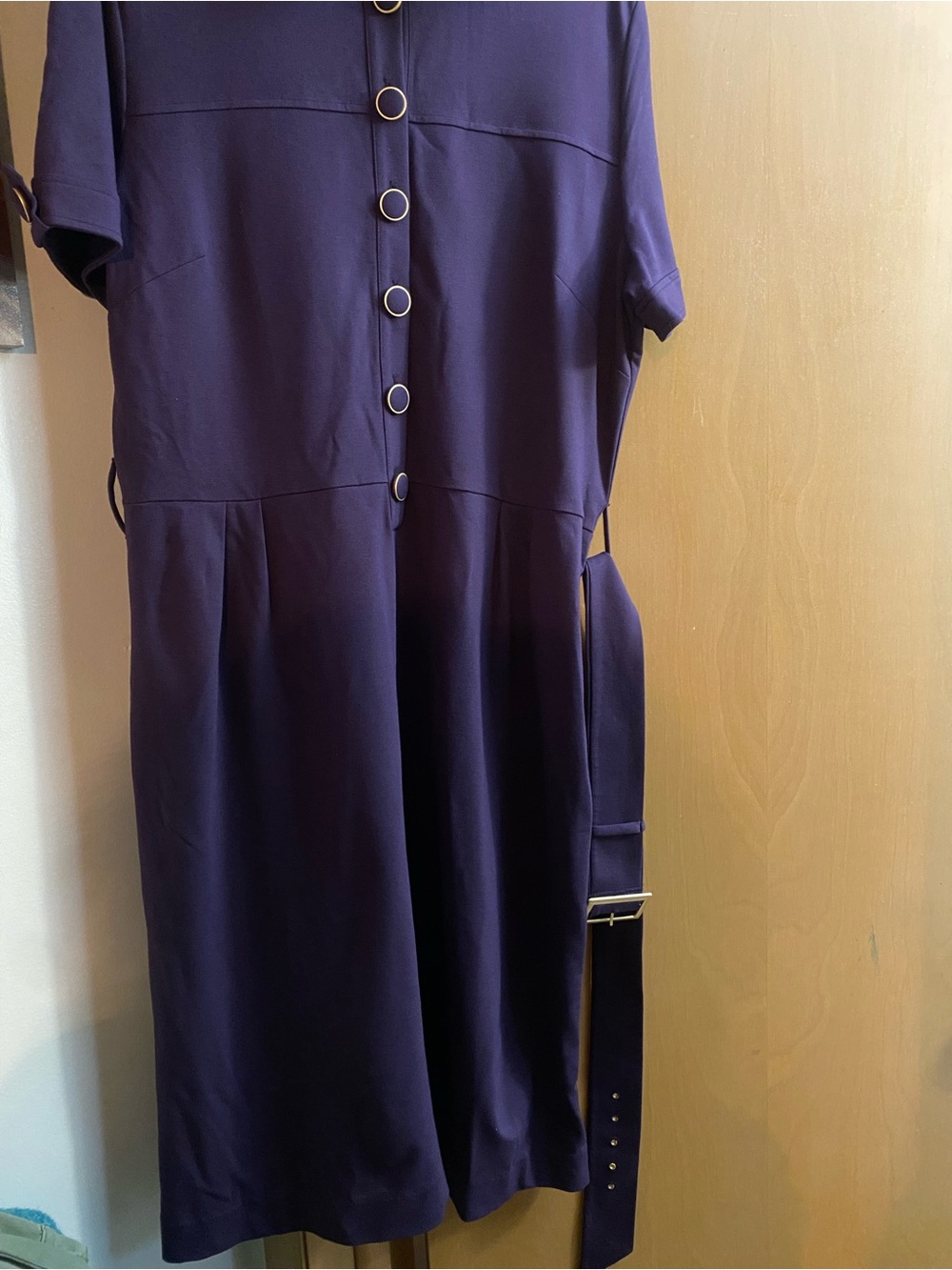 Talbots Deep Purple Short-Sleeve Midi Dress with Ring-Detail Buttons